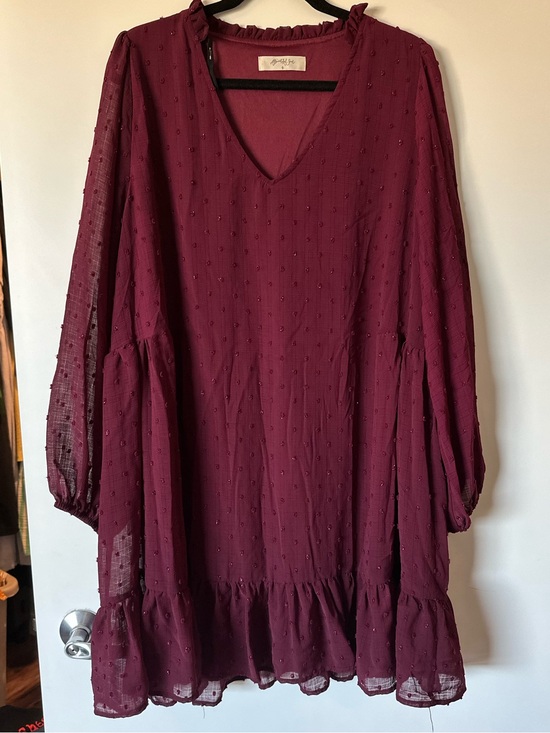 ARULA Dresses & Skirts - Arula Long Sleeve Shift Dress size B